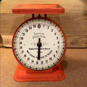 1906 Vintage American Family Scale Retro